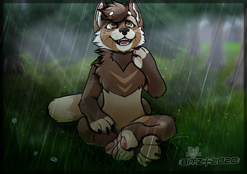[G] Raining in the Pine Forest