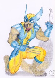 Gulo Gulo aka Wolverine