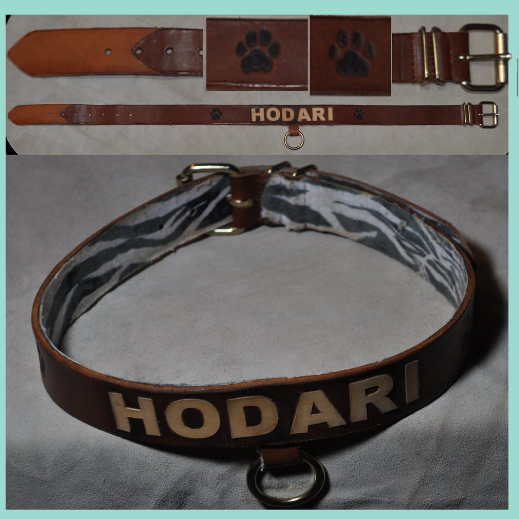 Most recent image: Hodari fursuit collar