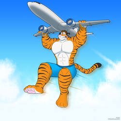 Big Tiger Airlines