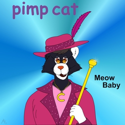 Pimp cat