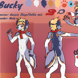 Ref: Bucky