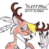 avatar of Fleetpaw