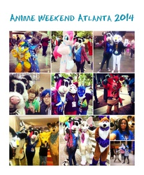 Anime Weekend Atlanta 2014