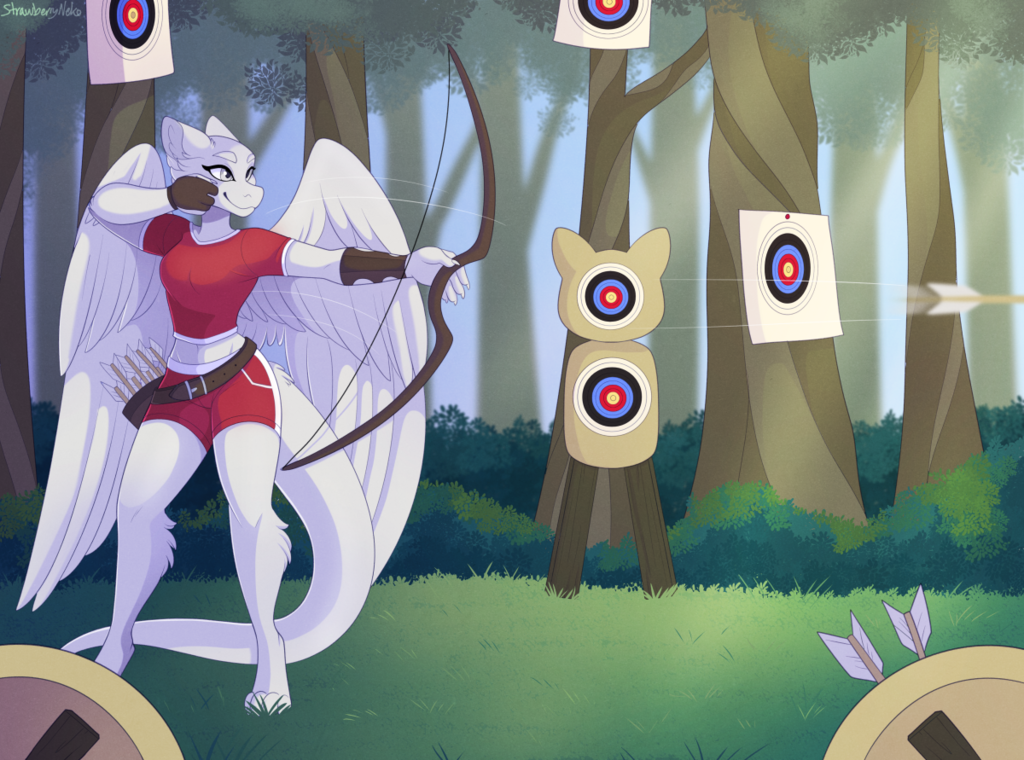 Archery Practice - Com
