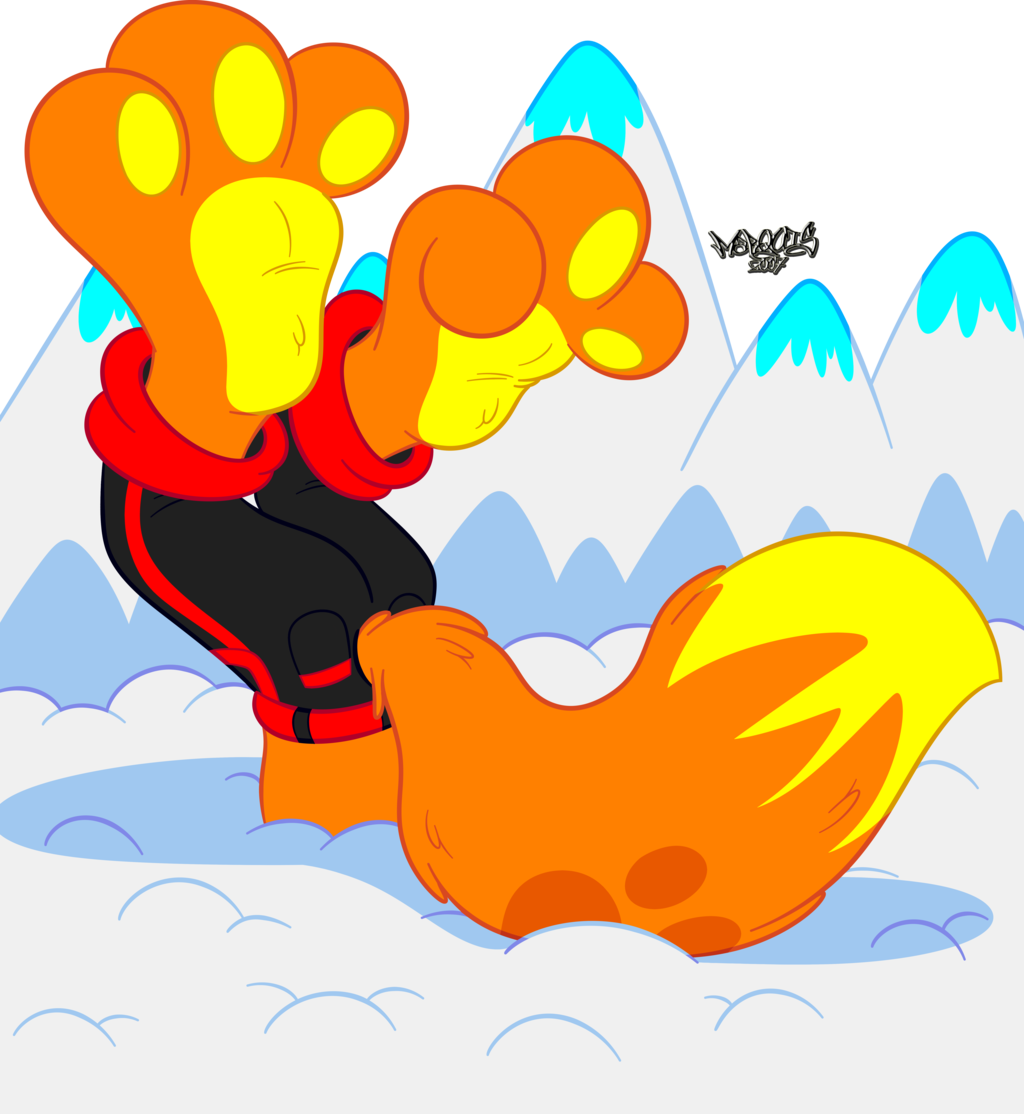 Fox In Snow
