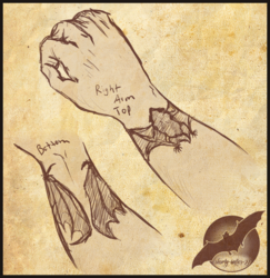 Bat Tattoo Idea