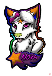 Nova badge for nova