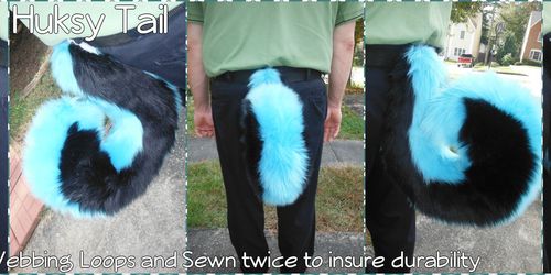 [C] Shelby B's Tail