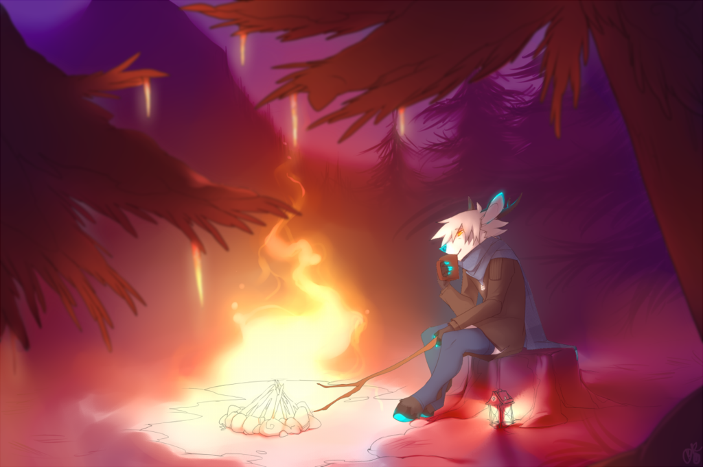 Campfire nights