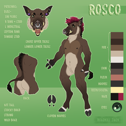Rosco Ref Sheet