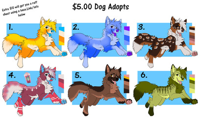 $5.00 dog adopts (6 open)
