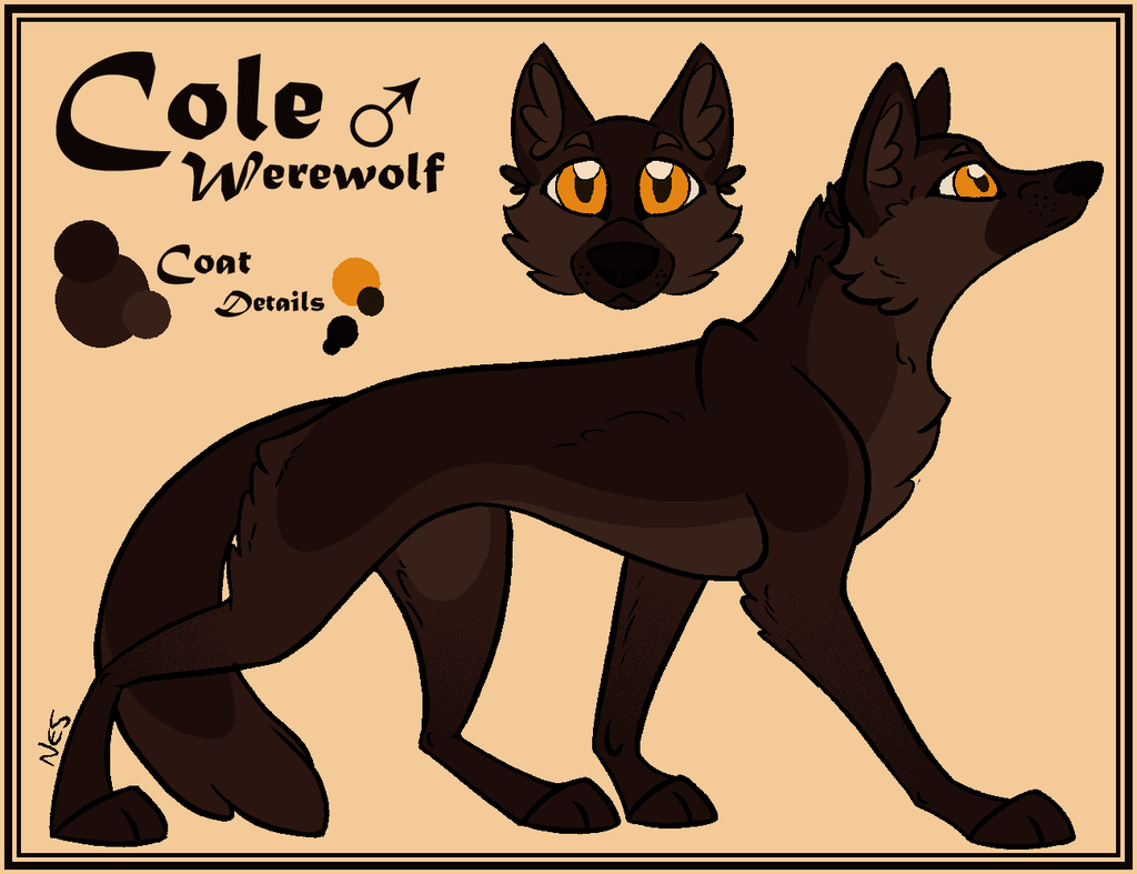 Ref Sheet Commission - Cole