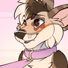 Avatar for KibaCPup