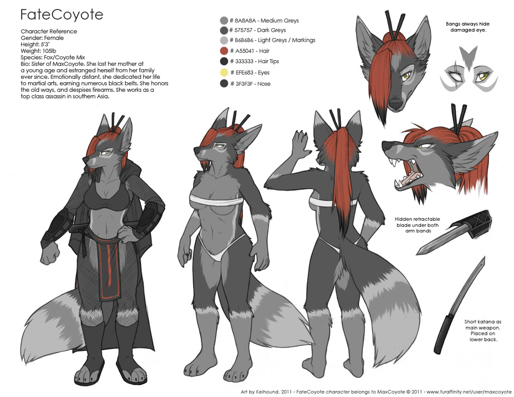 FateCoyote CHARACTER REFERENCE Sheet [READ THE NOTES!] (by Keihound)