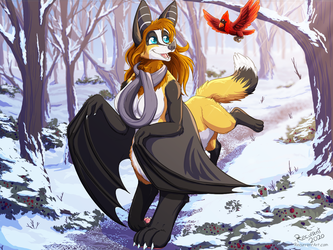 [c] A Friend on the Trail