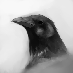 speedpaint- crow - 30min