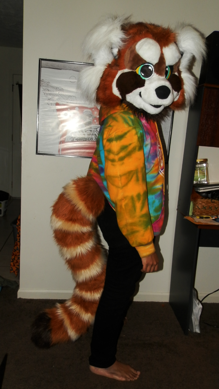 red panda fursuit 2