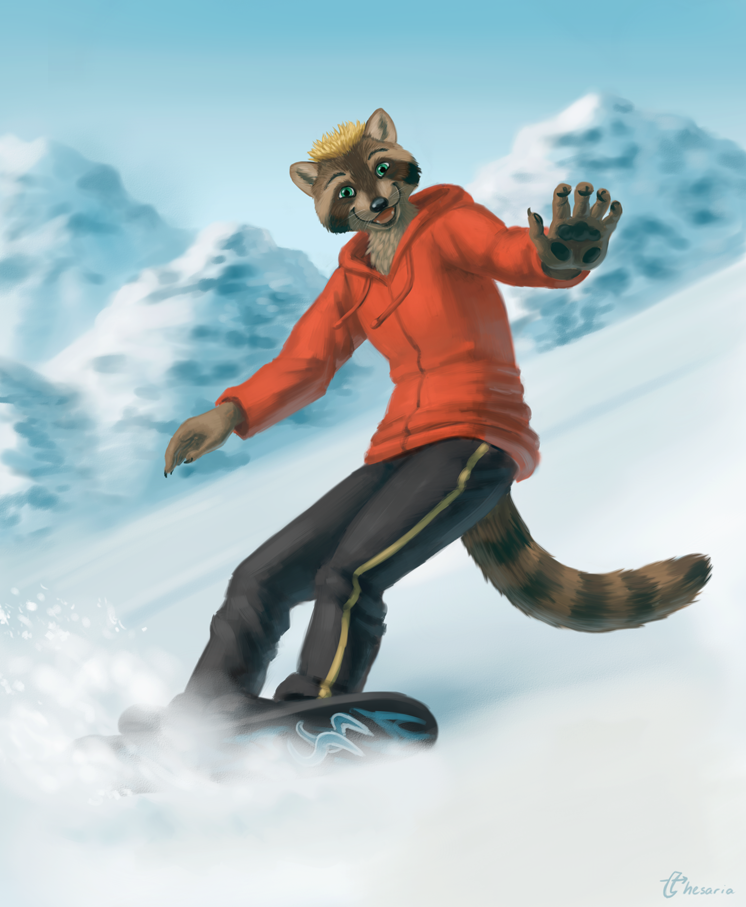 Stefan Shuttercoon Snowboarding