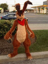 Hare Costume (Monster Rancher)