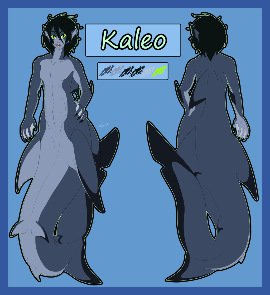 2014 Kaleo Reference