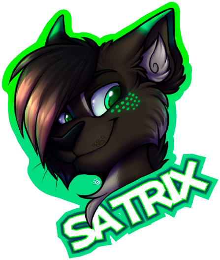 Satrix Badge (MCFC 2016)