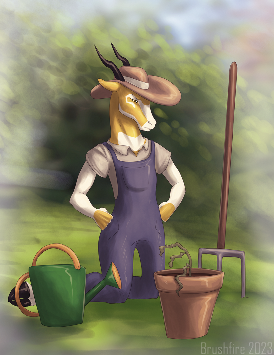 Most recent image: Tyron Gardening