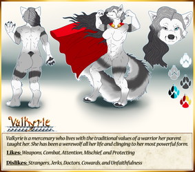 valkyrie_ref_sheet_by_meekakun_dcl8wct