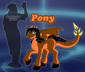 Forms of Danny - Pony