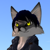 avatar of SchollFox
