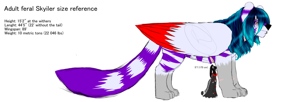 Skyiler Feral Size Reference 