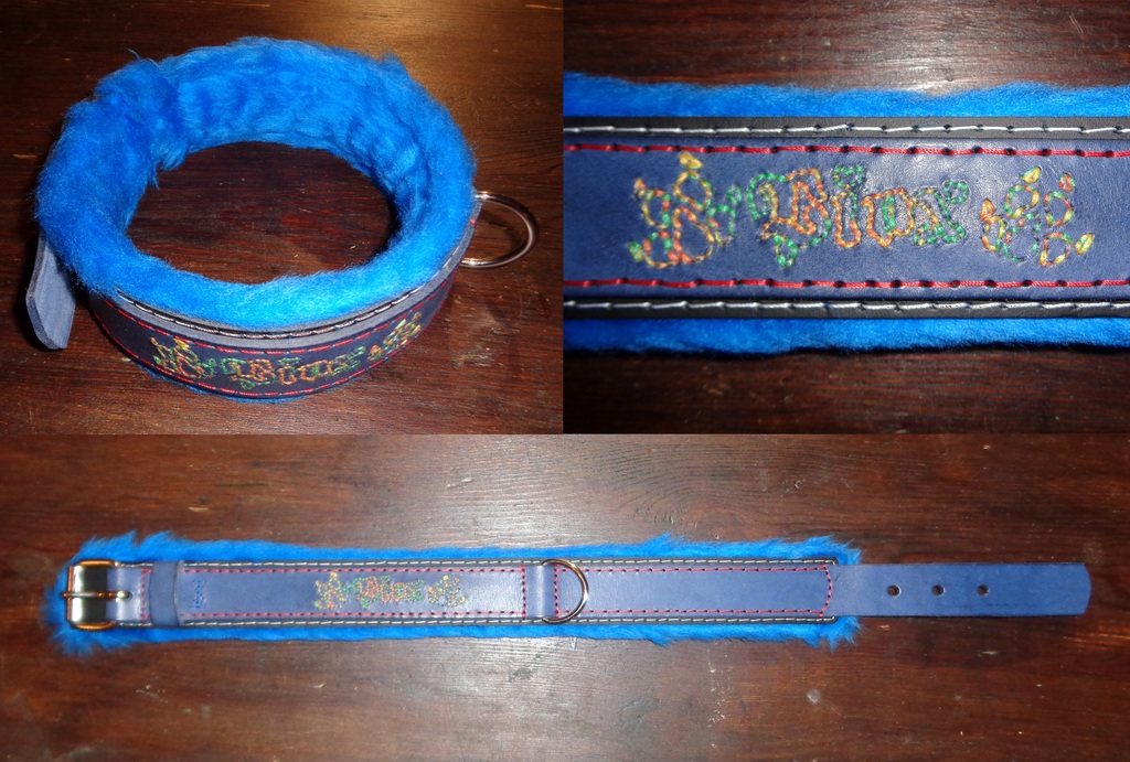 Collar for Piox