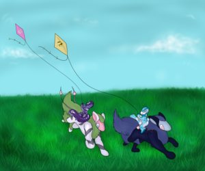 Kite Runners