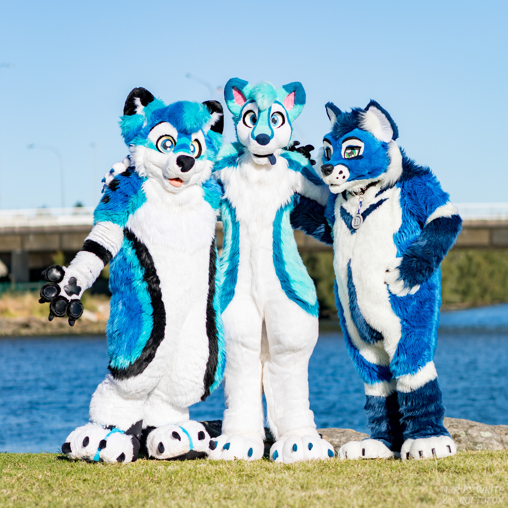 The Blue Suiters By Prus and Colto Fox