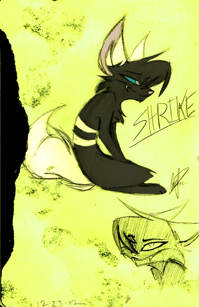 Shrike Ref Sketch