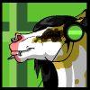 avatar of Dogsoul