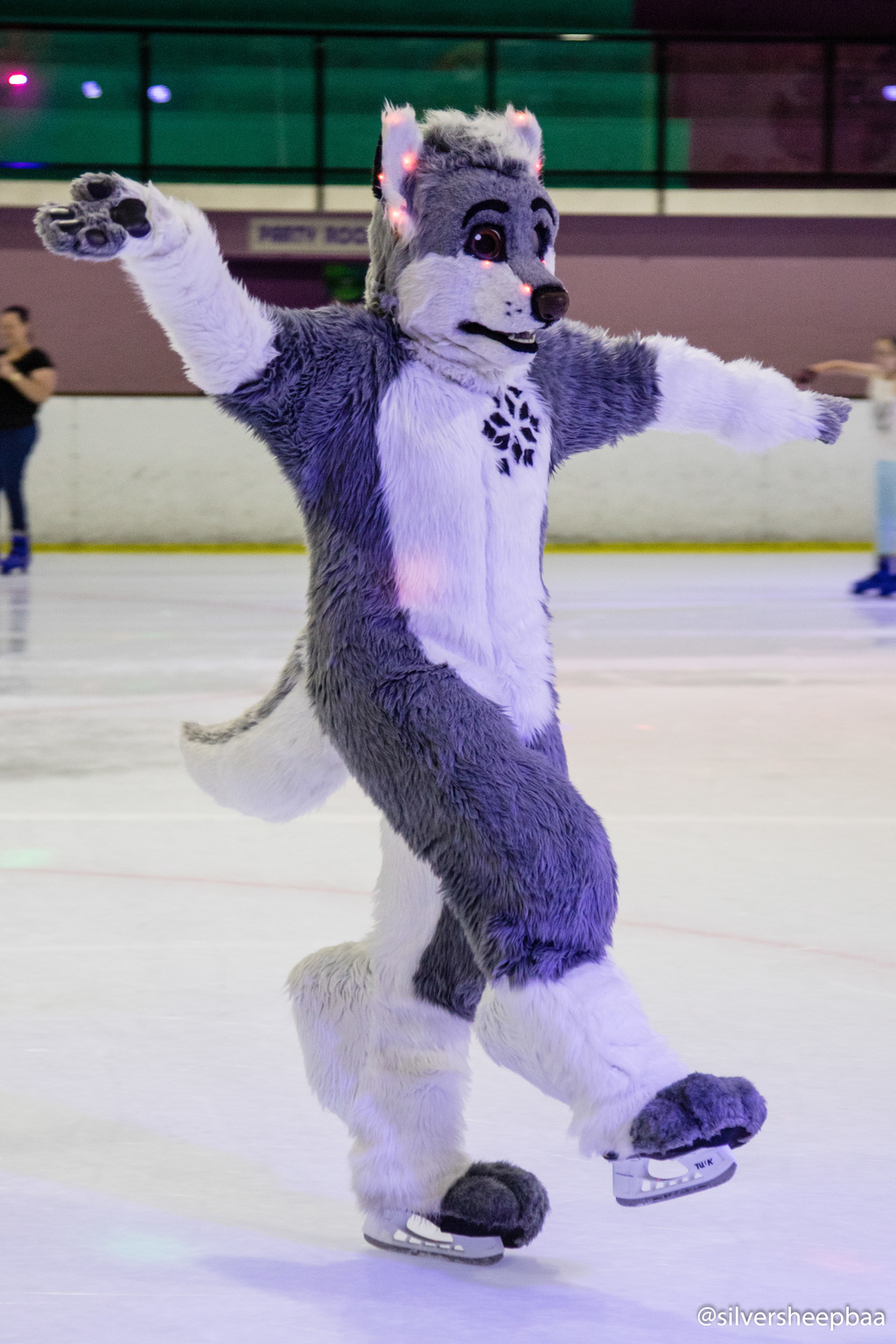 Furries on Ice 2017: Pro Husky Ice Skating Skills