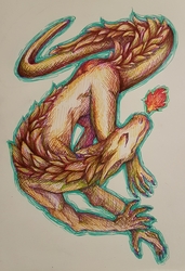 Colorful dragon doodle