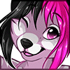 avatar of kojotek