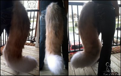 Commission - Rough Collie Tail