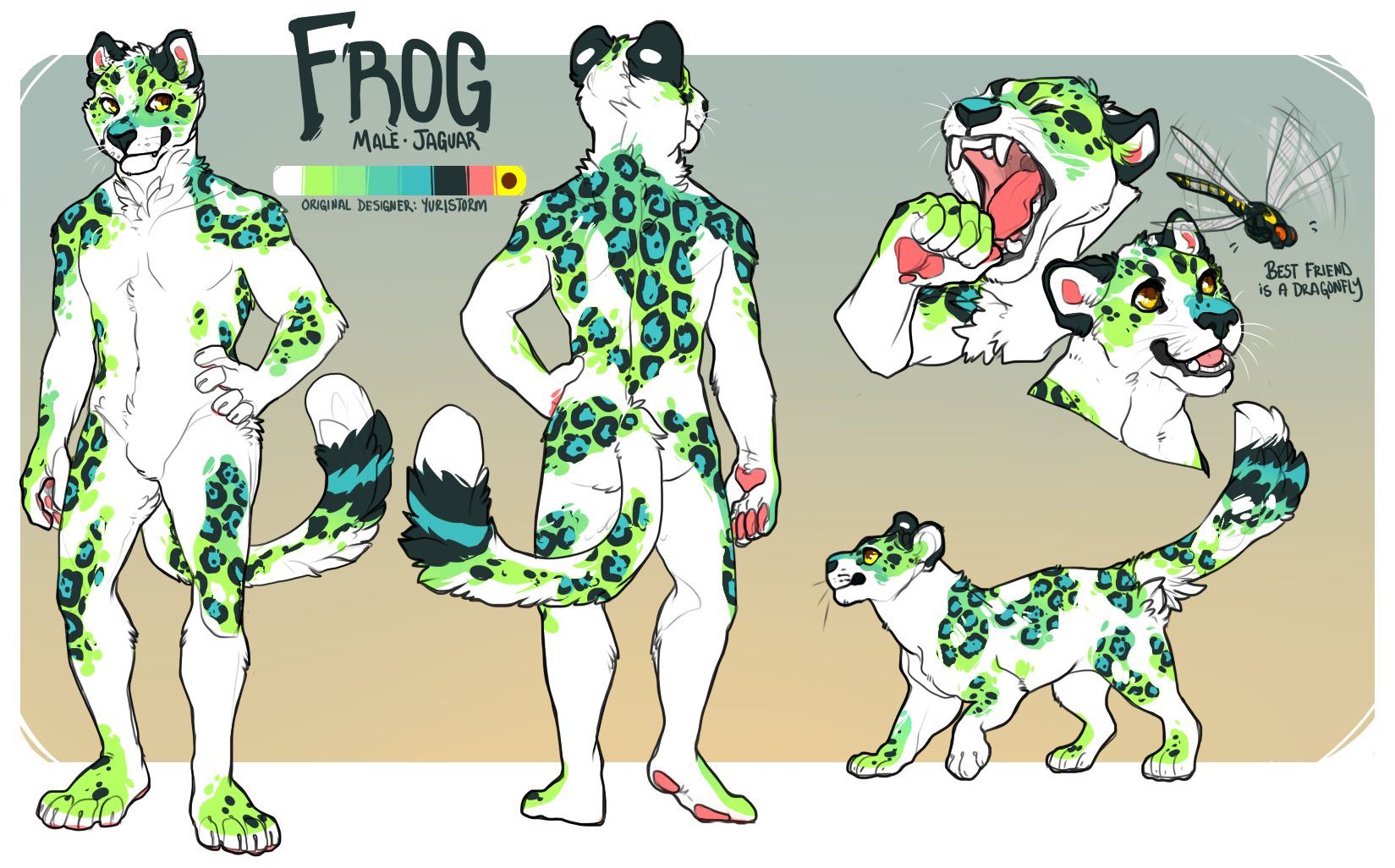 comm Frog Ref by. comm Frog Ref. 