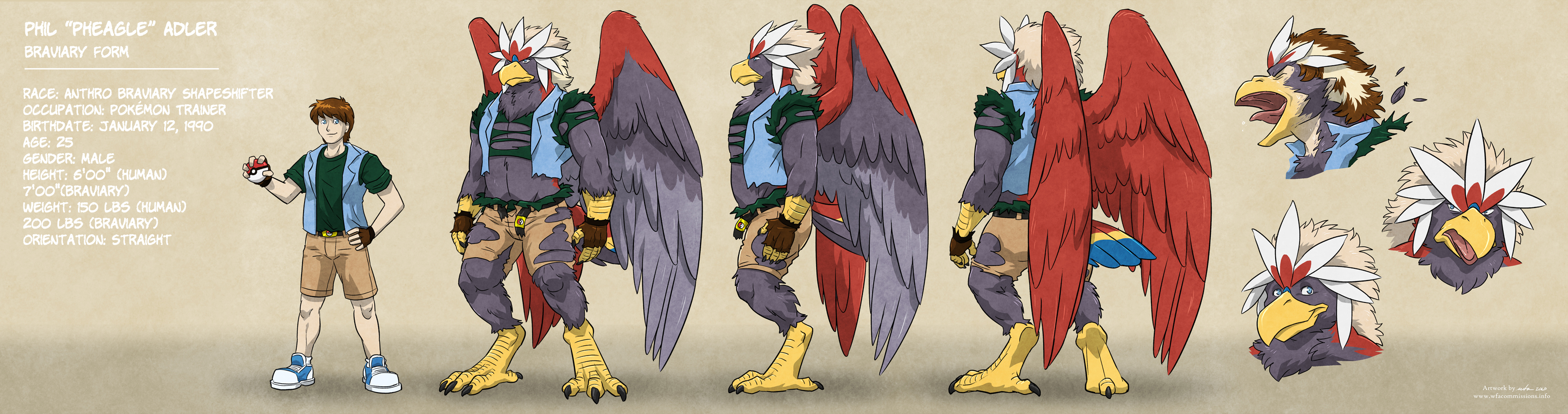 Phil "Pheagle" Adler - Braviary Form: Model Sheet by. 