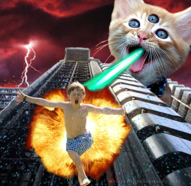 Laser Cat Attacks. 
