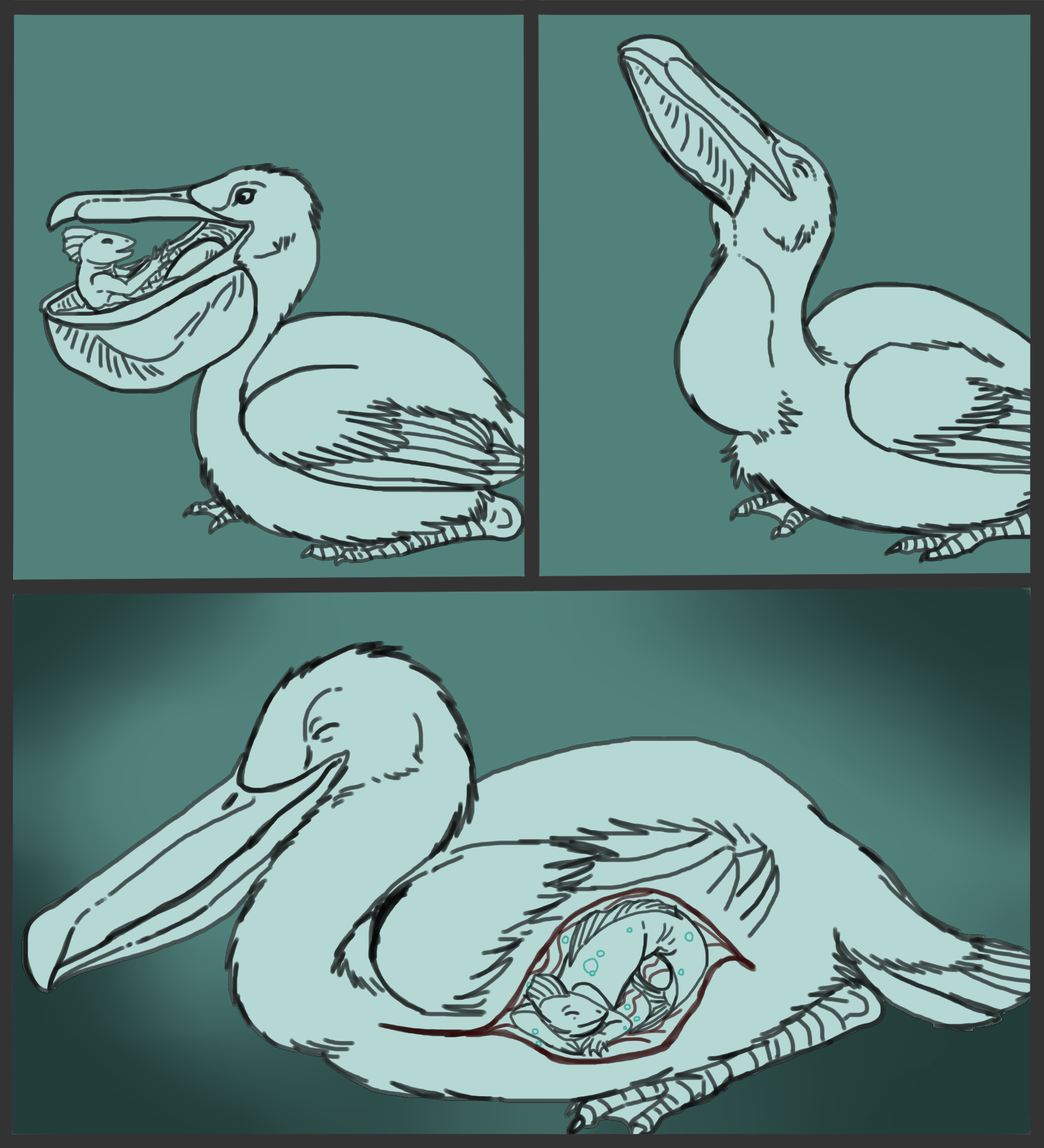 Fishy and Feathered Friends--Vore Sketchcomic. 