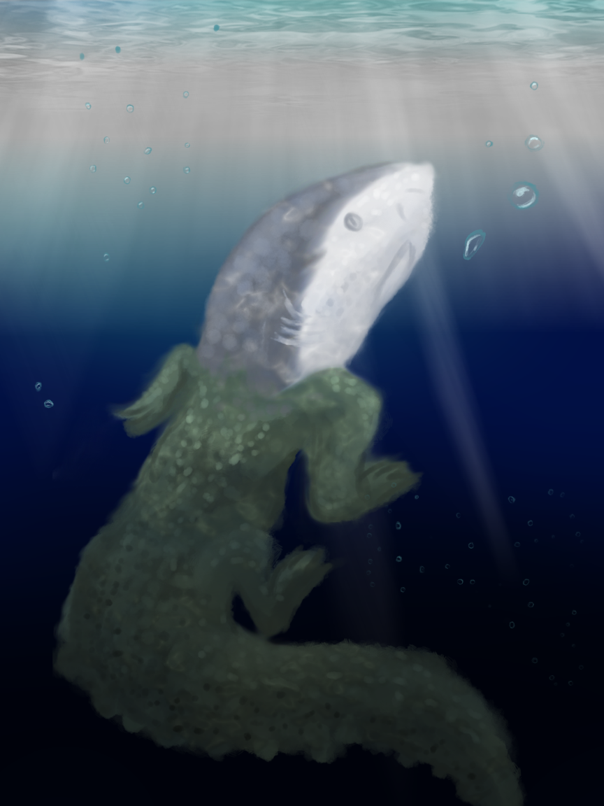 Sharkodile — Weasyl